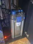 Oase BioMaster 600 Thermo 1250L\h