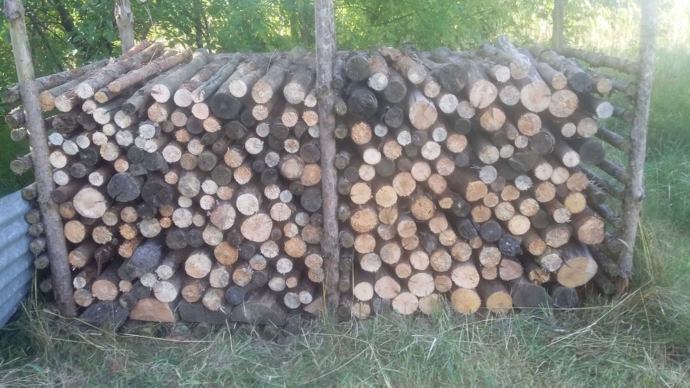 drewno opałowe (sosna, olszyna) sezonowane
