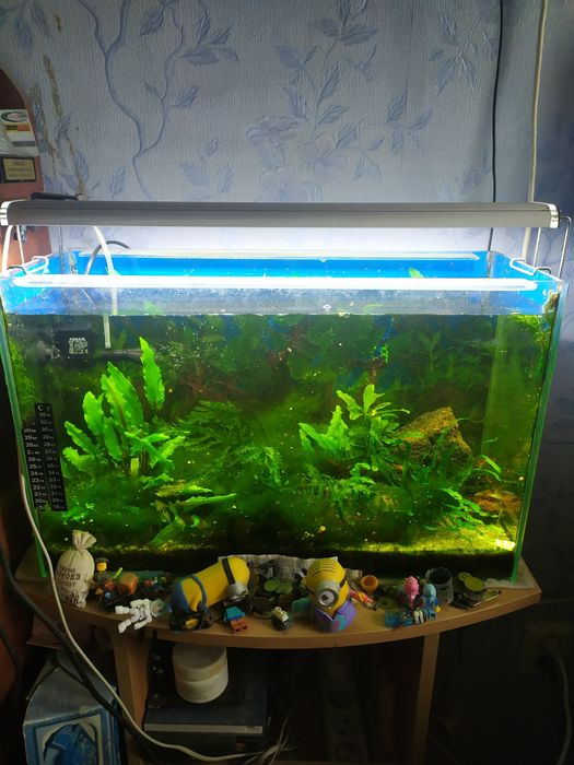 Аквариум со светильником и компрессором