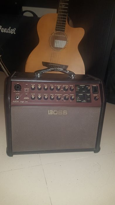 Boss acoustic singer live