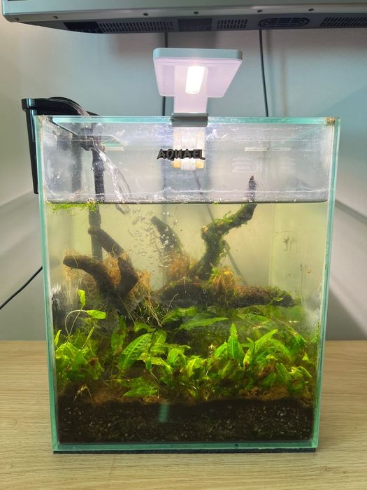 Shrimp Set 20 Aquael kostka male akwarium na krewetki filtr kaskadowy