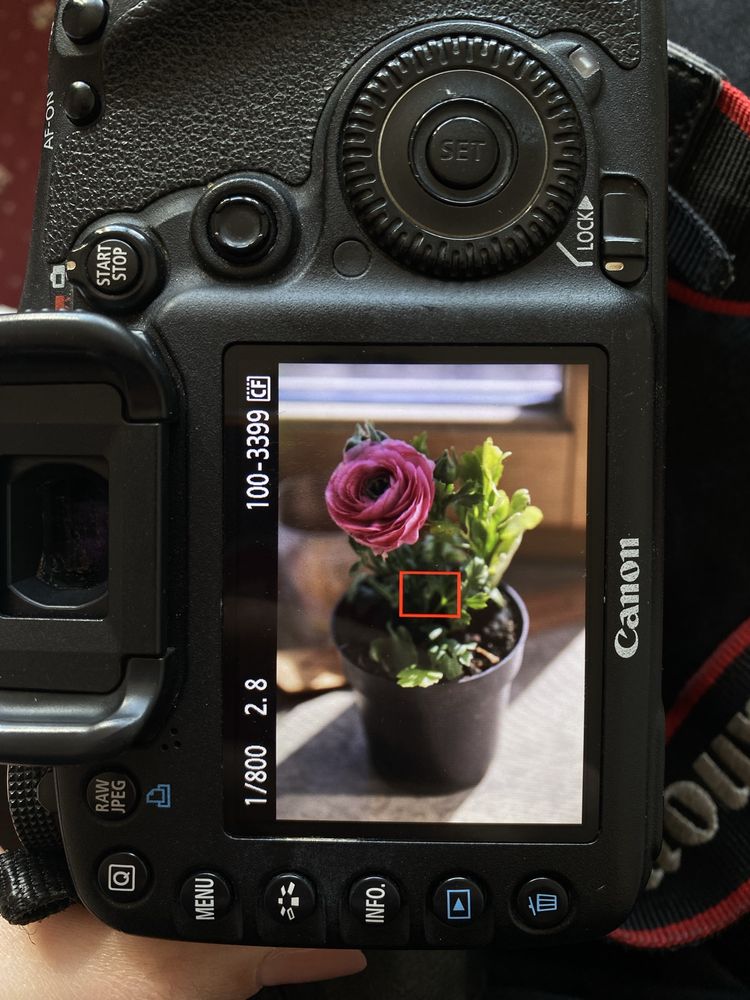 фотоапарат Canon 7D + обʼєктив Sigma 17-50 2.8