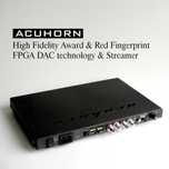 Acuhorn R2R streamer DAC drabinka R-2R High End do wzmacniacz lampowy