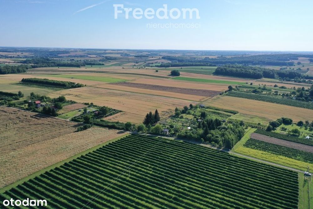 Działka siedliskowa