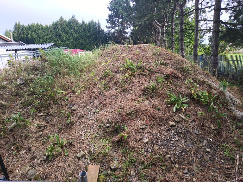 Ziemia i gruz za darmo