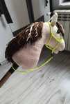 Hobby horse z polaru
