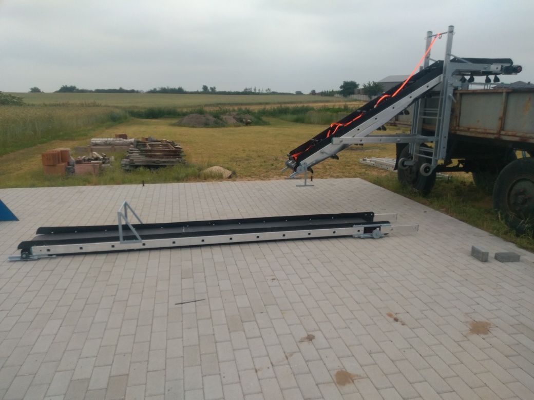 Taśmociąg do zbioru warzyw kapustnych