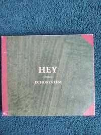 CD Hey echosystem