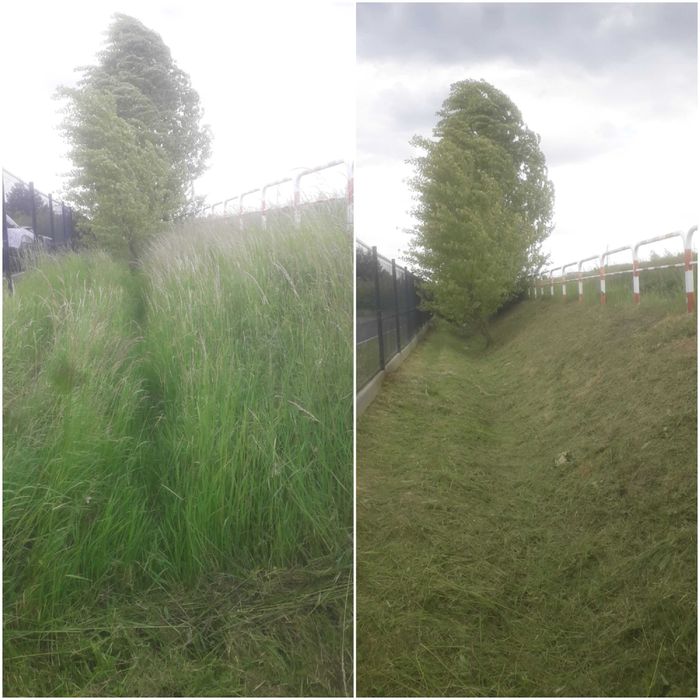 Ogrodnik Pielęgnacja utrzymanie terenów zielonych Usługi ogrodnicze