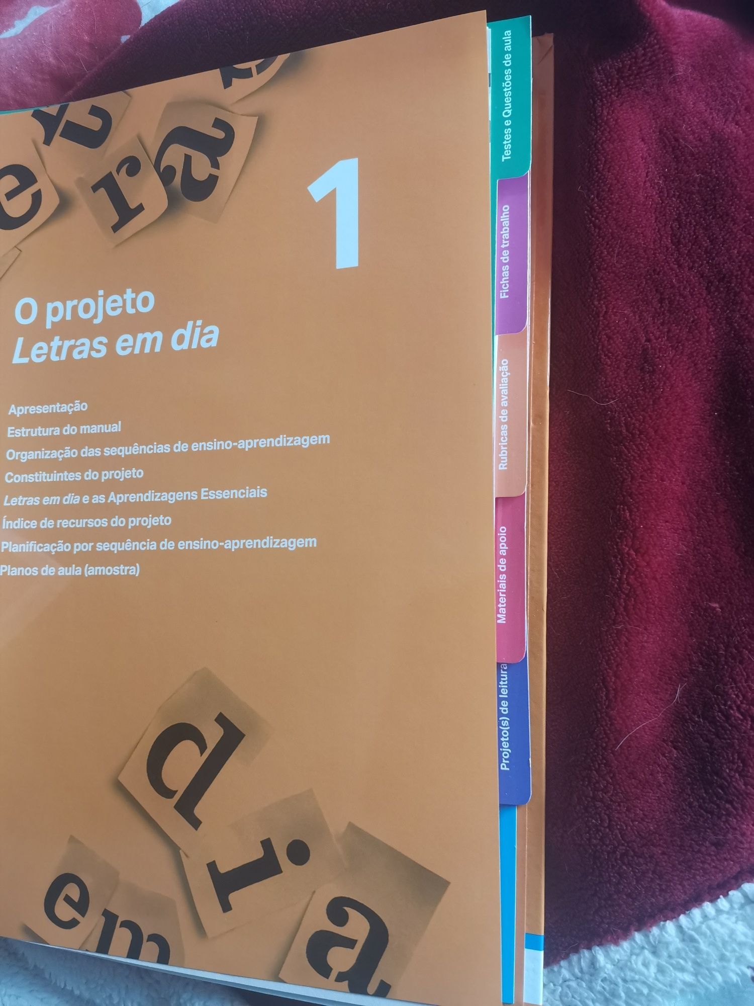 Manual novo  de português 12ano + projeto professor