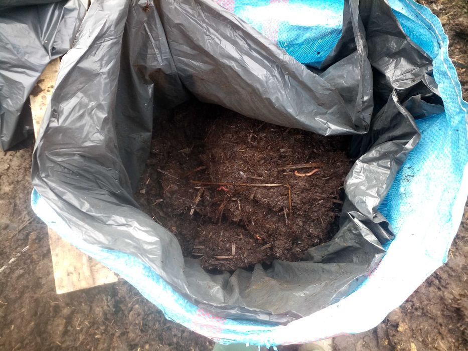 Obornik koński, nie granulowany, humus.Ekonawóz, kompost