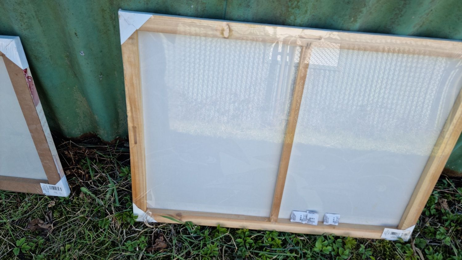 Obraz płótno Canwas piesek 130x70