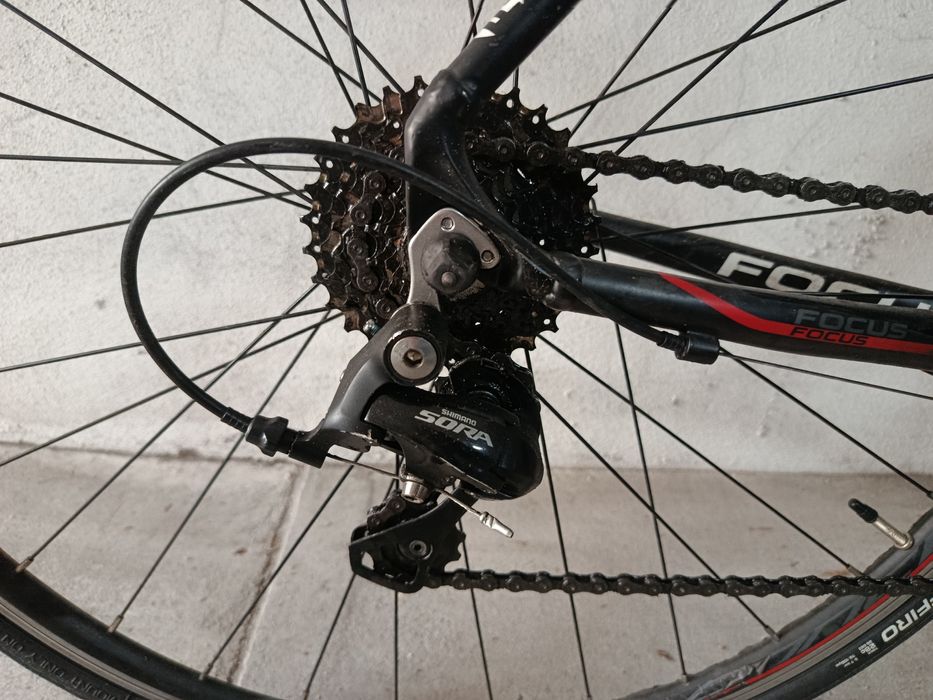 Bicicleta estrada focus xs