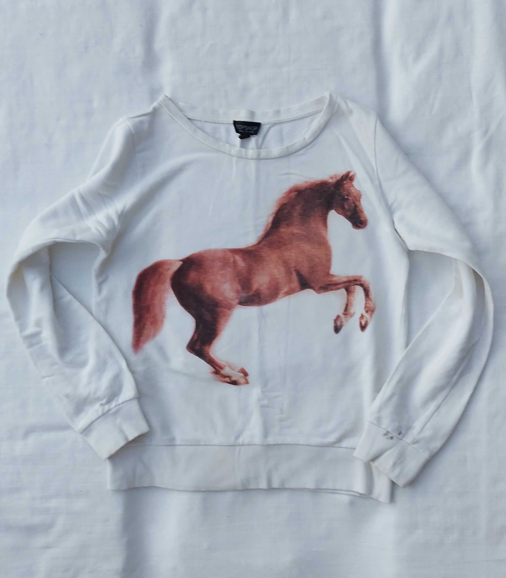 Bluza z koniem obraz Whistlejacket Stubbs dla jeźdźca do stajni
