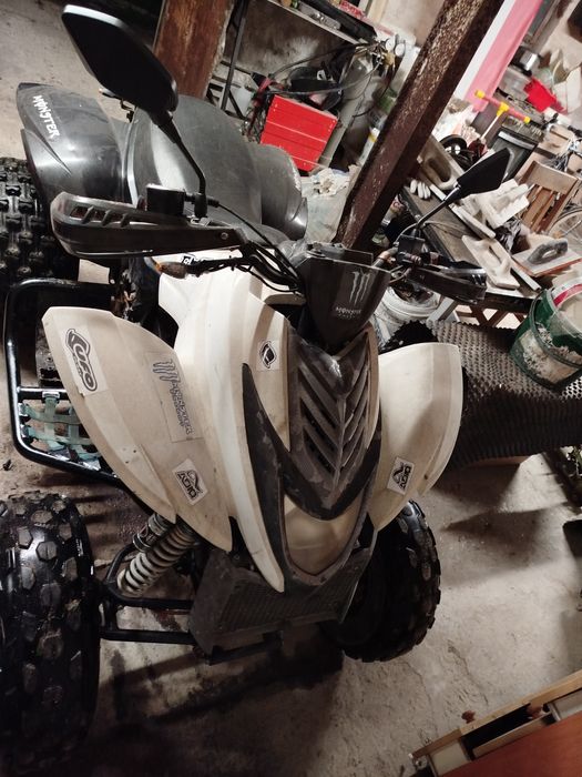 Quad Dinli Masai 300