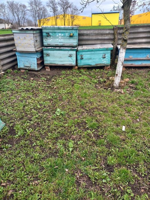 Вулик лежак 24рамочний