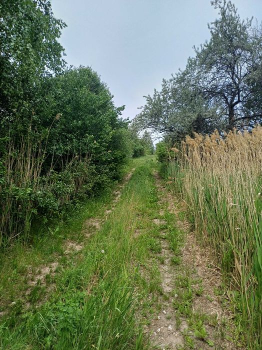 GA S4 Продам ділянку 50сот з озером, Хар.обл, смт Високий, с Іржавець.