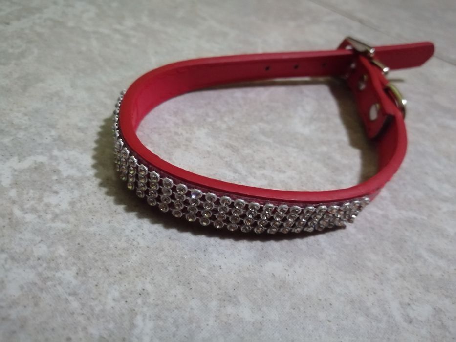 Czerwona obroża obrożka dla psa kota cyrkonie