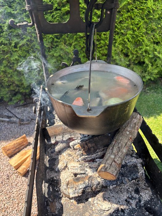 Енергонезалежний будинок з басейном біля Києва, баня, ліс