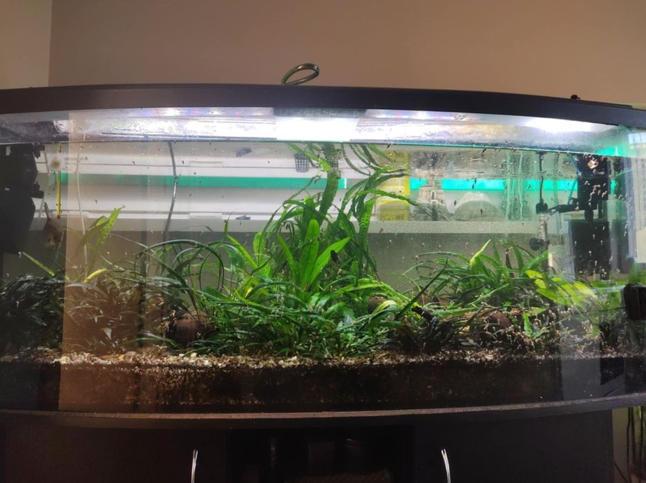 Duze akwarium 450L