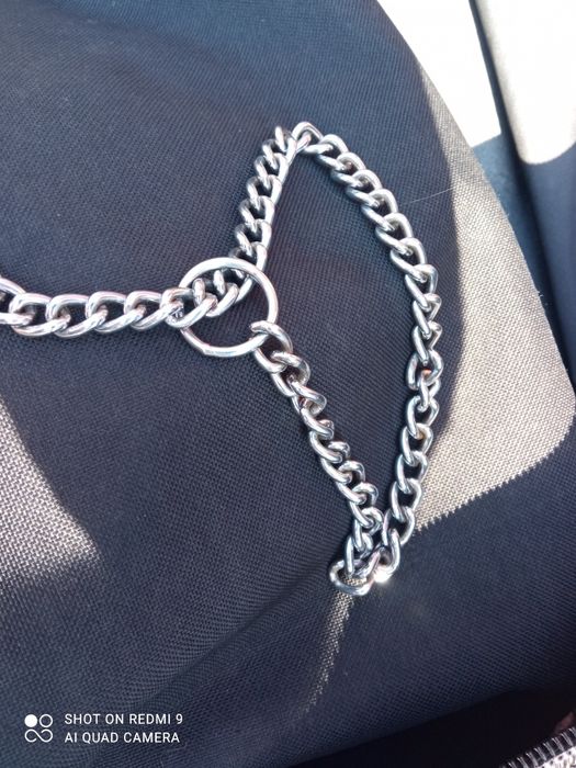 Ошийник удавка для собак