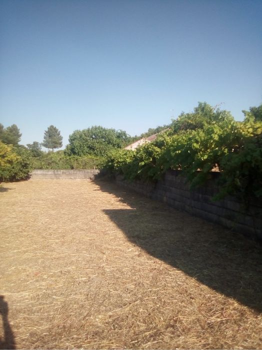 Terreno murado aldeia orca