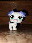 Lps orginalny pies