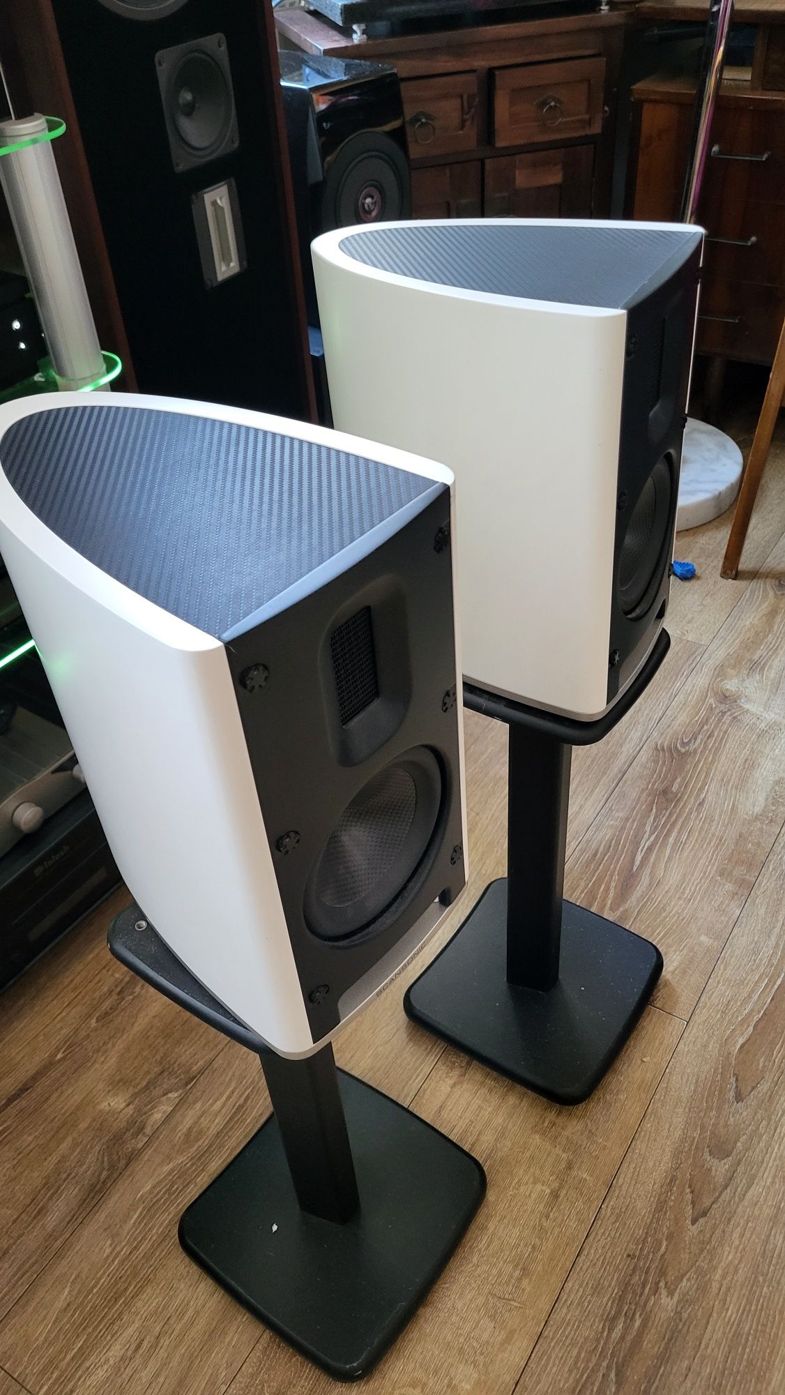 Scansonic MB 1 Hi End kolumny głośnikowe