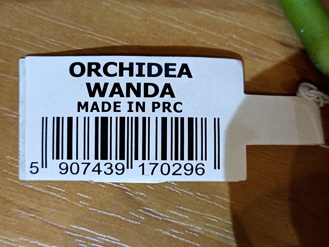 Orchidea Wanda gałązka sztuczna 74 cm