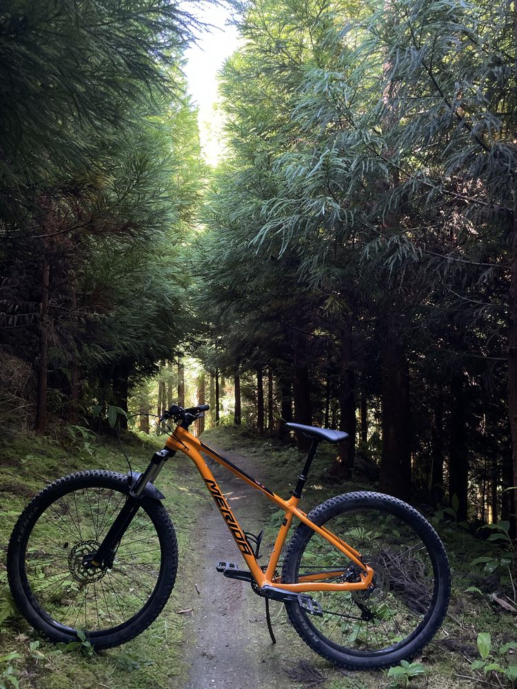 Merida bigtrail.