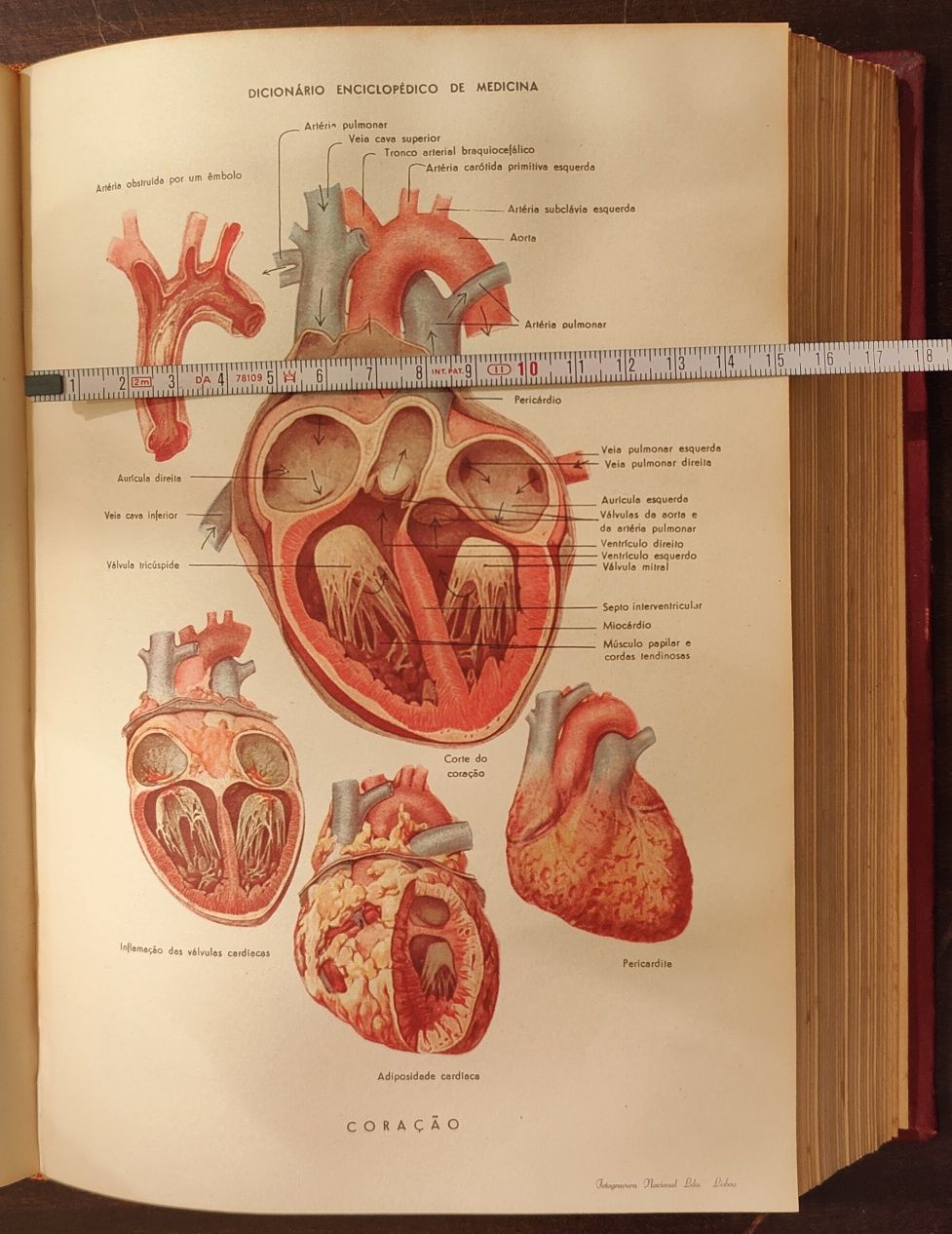 Dicionário enciclopédico de medicina