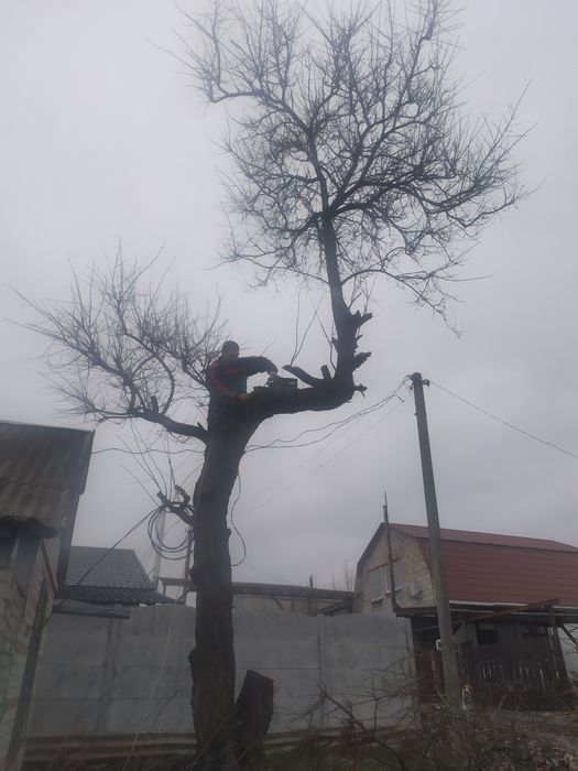 Вывоз мусора веток глины уборка участка