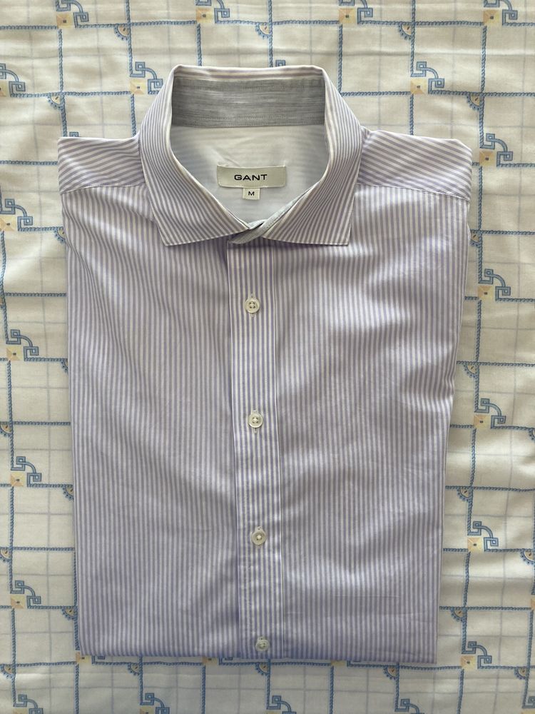 Camisas Labrador | Lion Porches | Gant | Massimo Dutti C/Novas