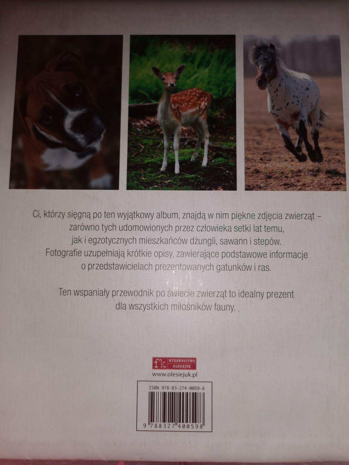 Książka dzieci zwierząt album zwierząt