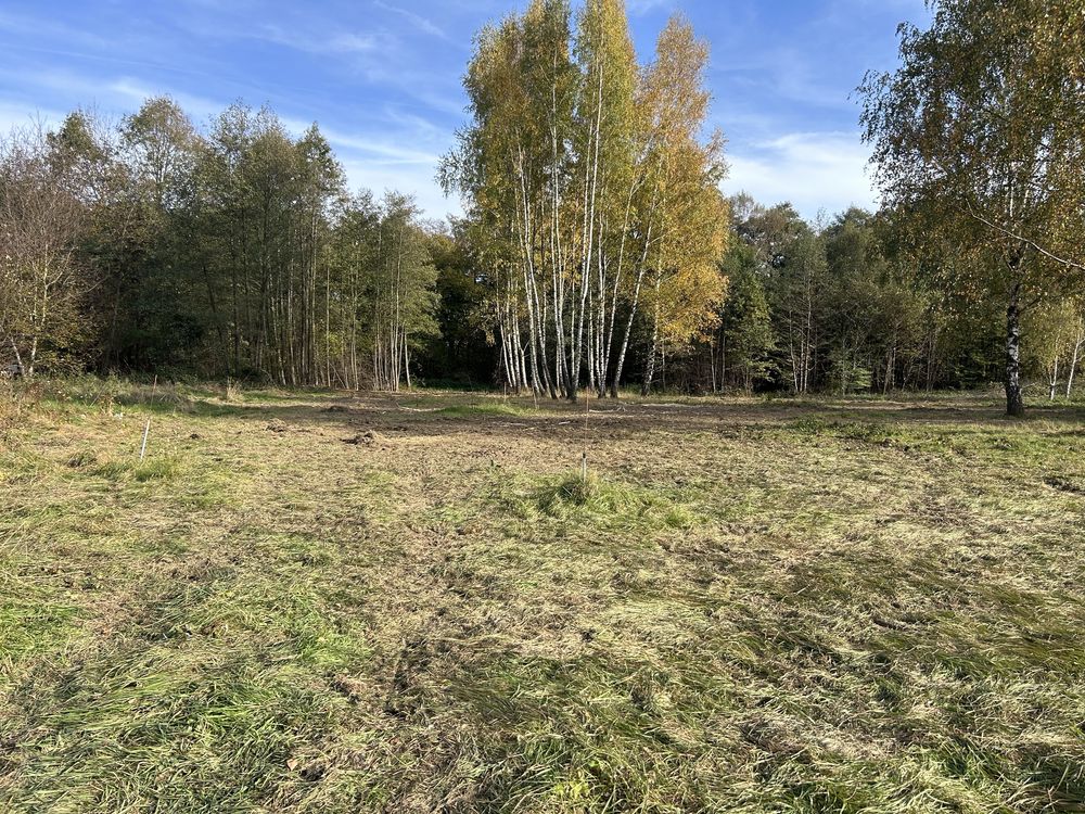 Koszenie trawy Kosiarka bijakowa koszenie nieużytków koszenie poboczy