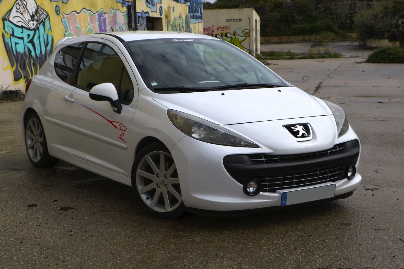 Peugeot 207 Rally Nº 57/100 – Edição Limitada Certificada