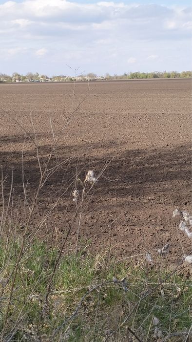 Ділянка 25га Обухівський р-н