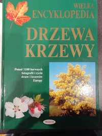 Wielka encyklopedia Drzewa i Krzewy