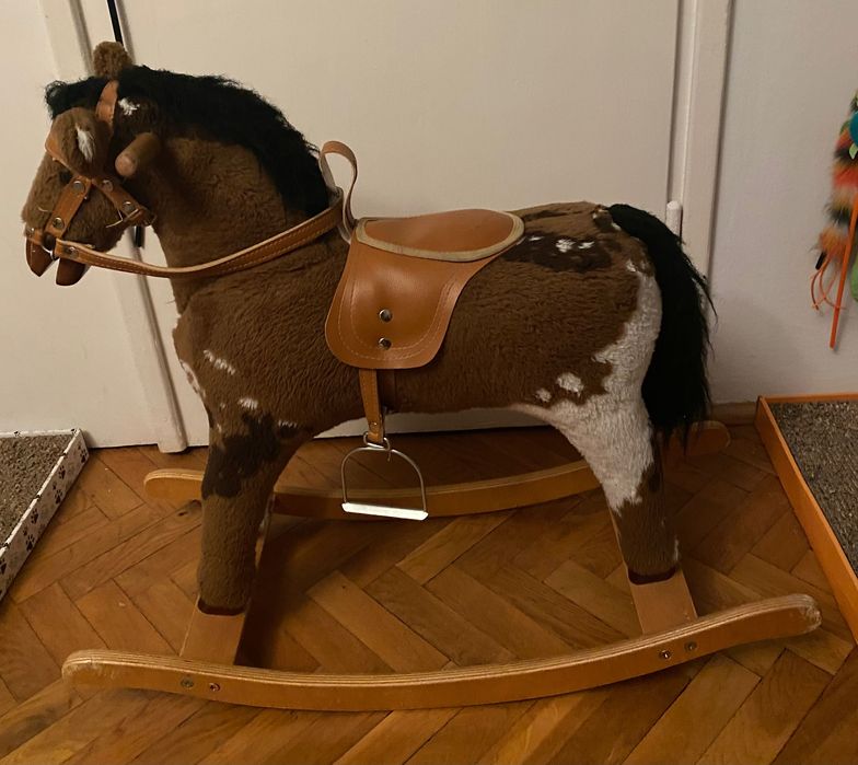 Konik na biegunach z czarną grzywą :)