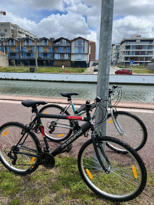 Bicicleta Muddyfox Energy26