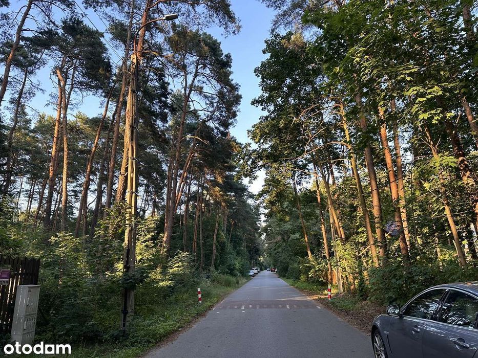 Zalesie Górne - Działka BUDOWLANA w środku sosnowego lasu