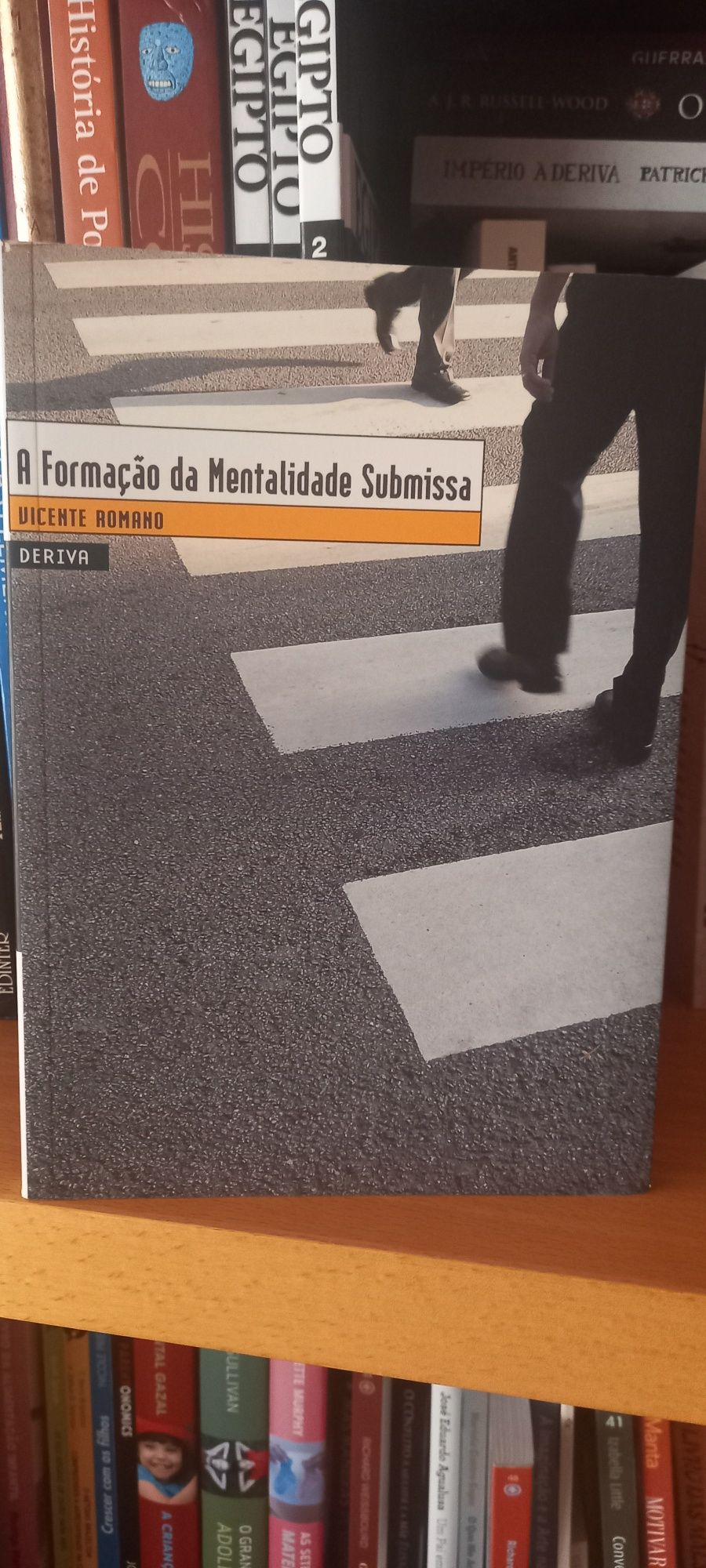 A formação da mentalidade submissa