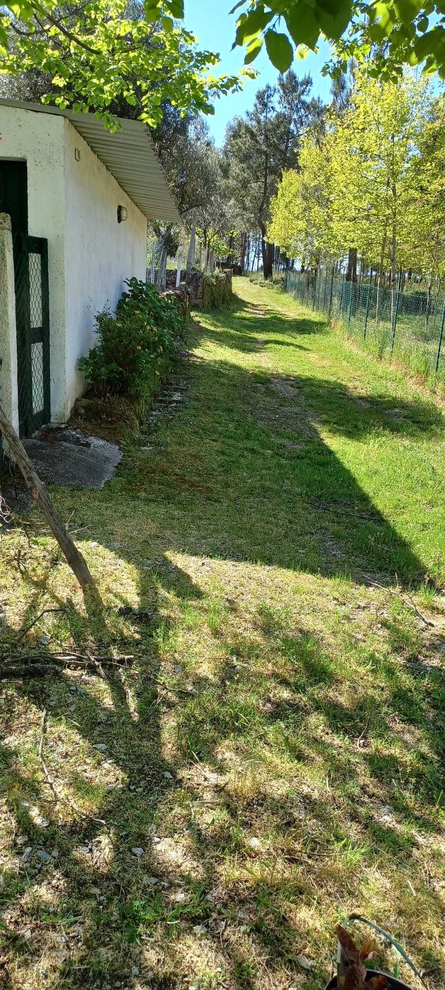 Quinta + Mata com vista para a Serra da Estrela