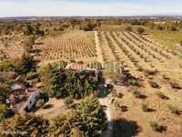 Herdade vitivinícola com 22 hectares
