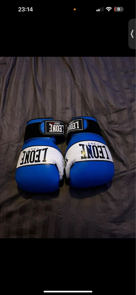 Luvas leone boxe 16oz