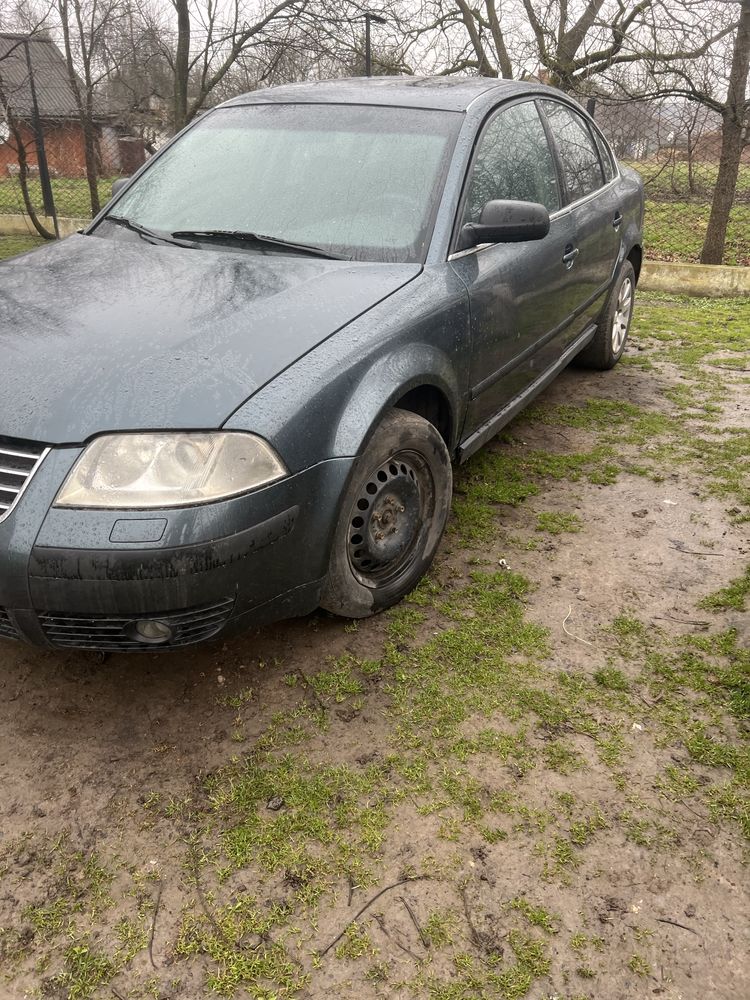 Volkswagen passat b5+