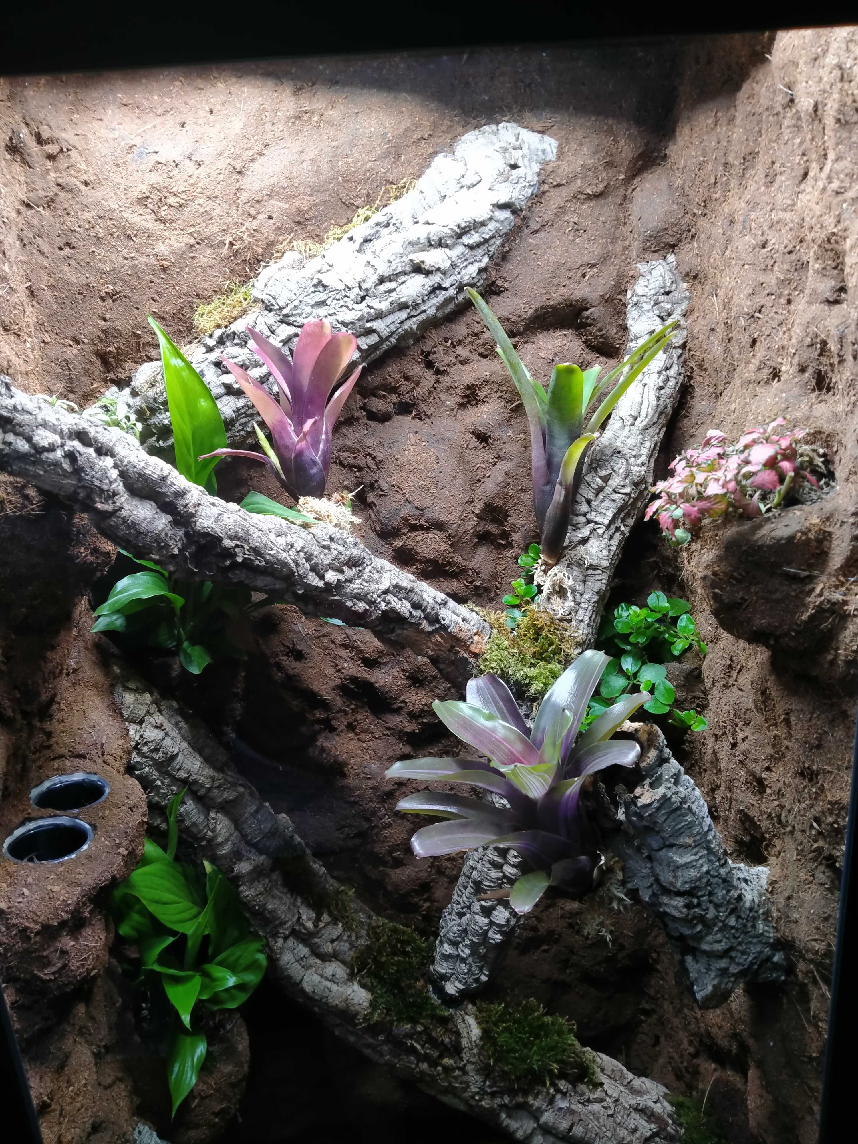 Wyjątkowe terrarium z witryny Fabrikör IKEA