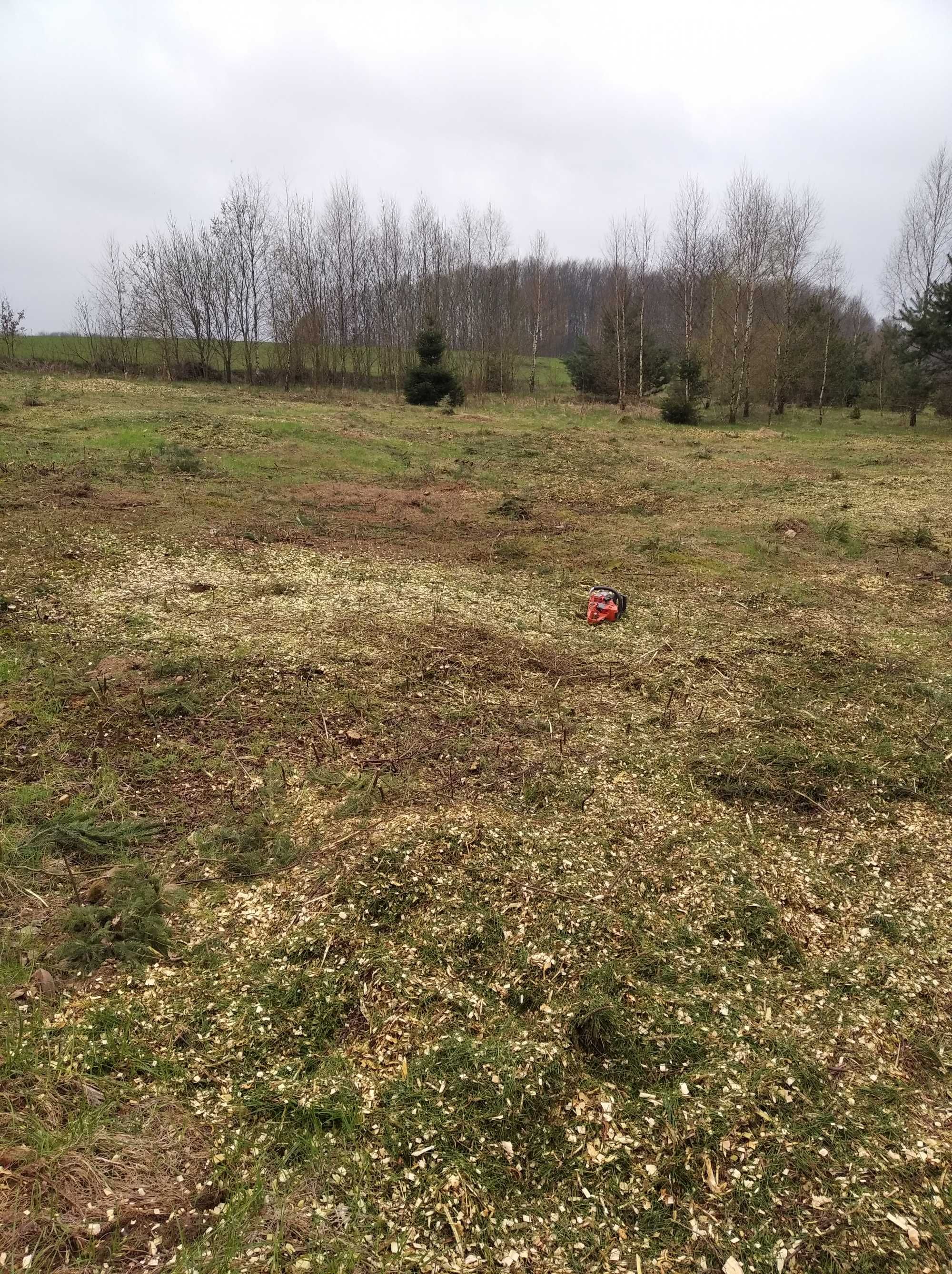 Wycinka drzew,karczowanie ,zakładanie ogrodów, rębak