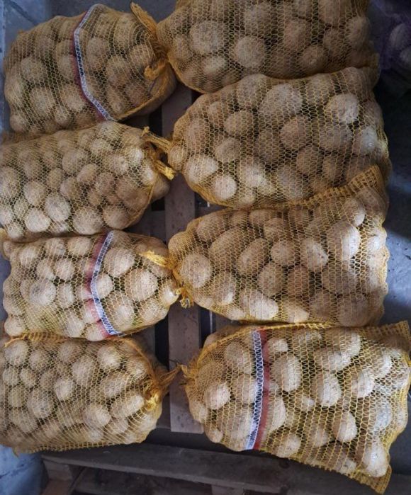 Ziemniaki 15kg Irga duże ładne białe bez nawozów ziemniak warzywa