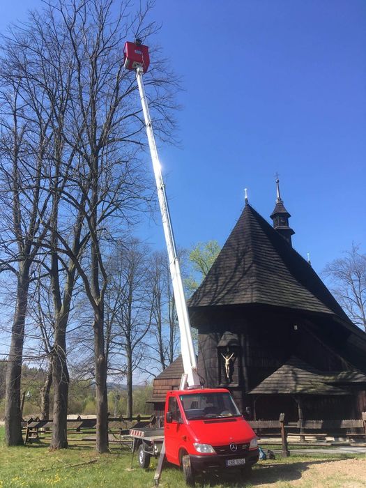 Wycinka i przycinanie drzew Darmowa wycena !!!